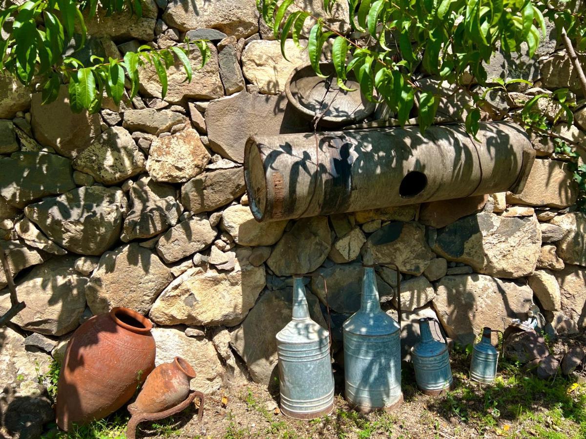 Igor Bed And Breakfast Halidzor Extérieur photo
