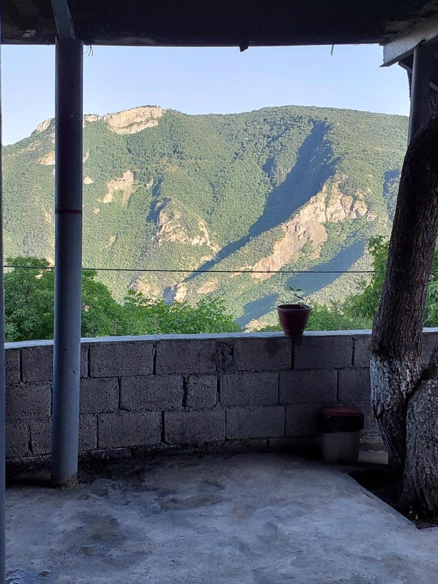 Igor Bed And Breakfast Halidzor Extérieur photo