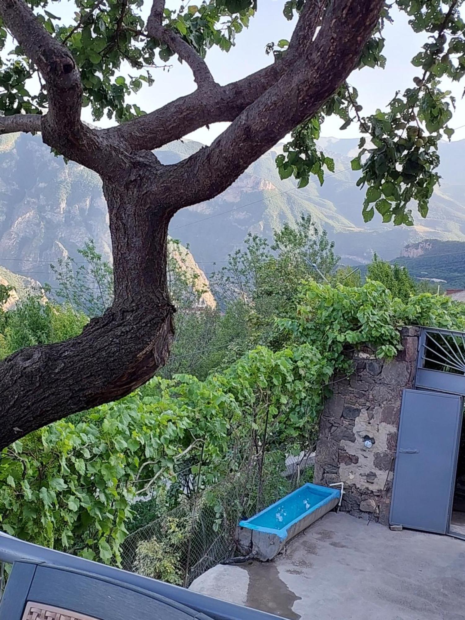 Igor Bed And Breakfast Halidzor Extérieur photo