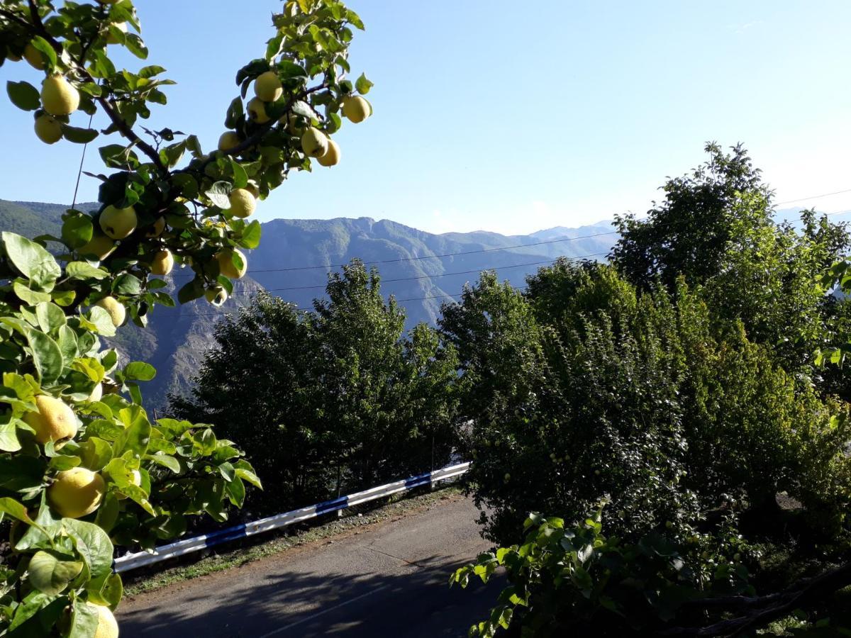 Igor Bed And Breakfast Halidzor Extérieur photo